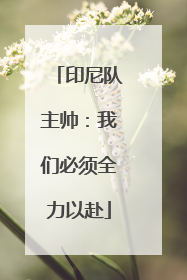 印尼队主帅：我们必须全力以赴